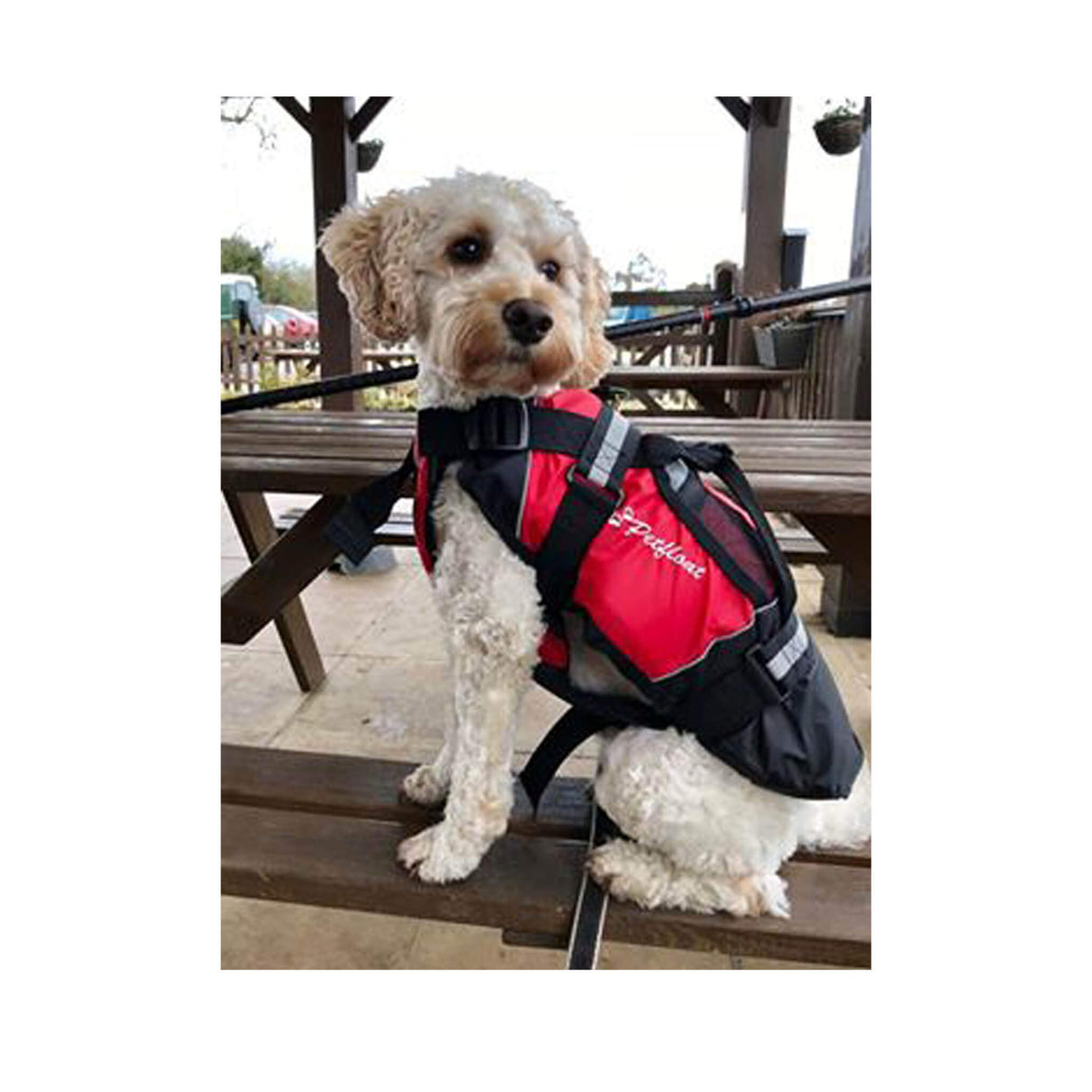 Crewsaver Pet Float PFD