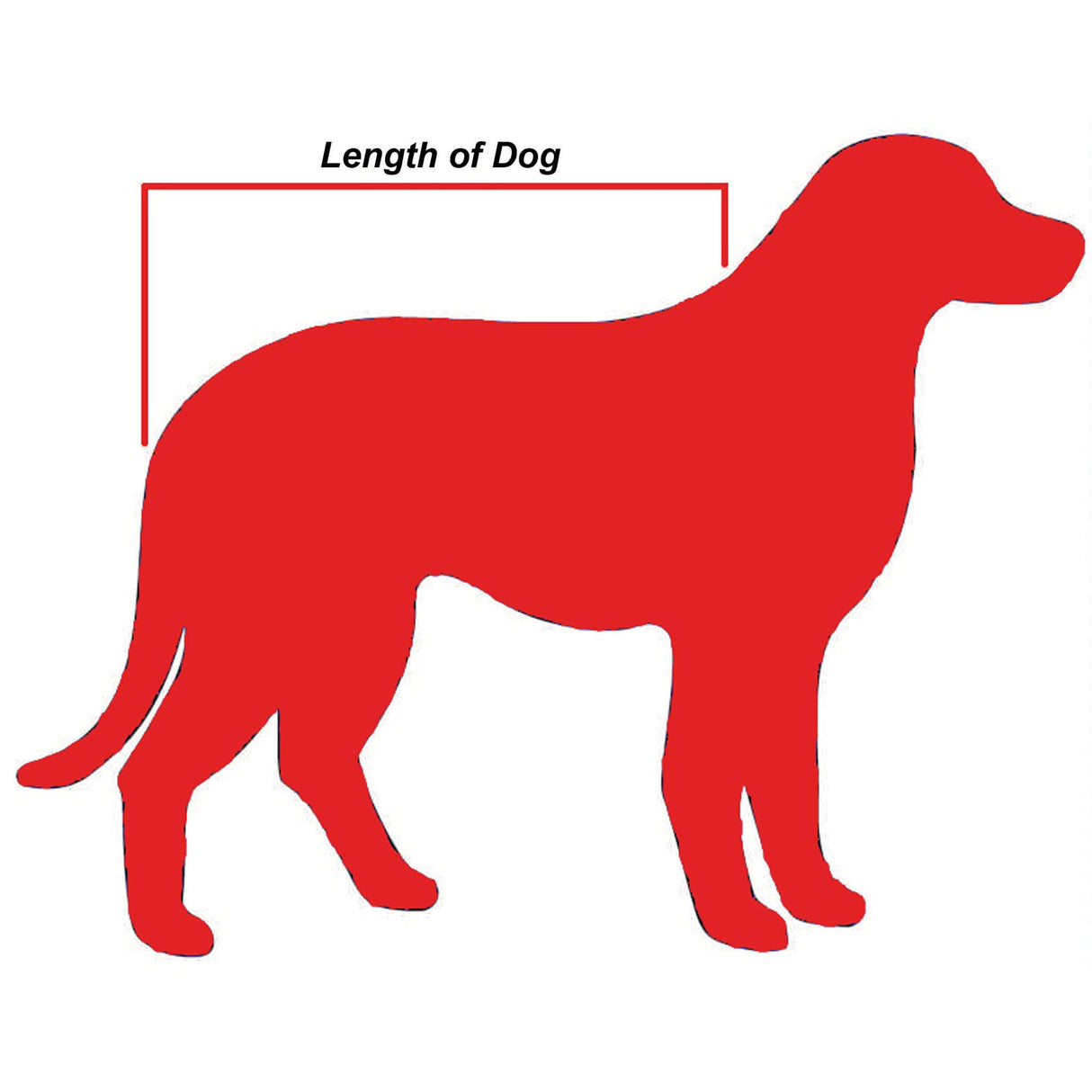 Crewsaver Pet Float PFD