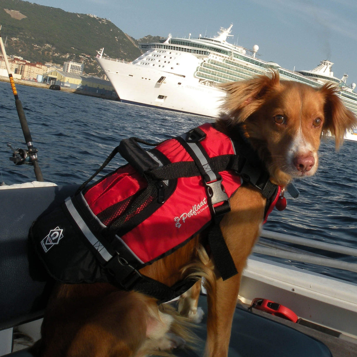 Crewsaver Pet Float PFD
